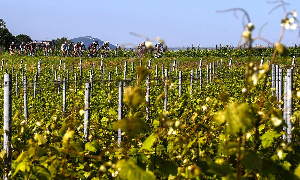 Percorso Ciclistico Romagna