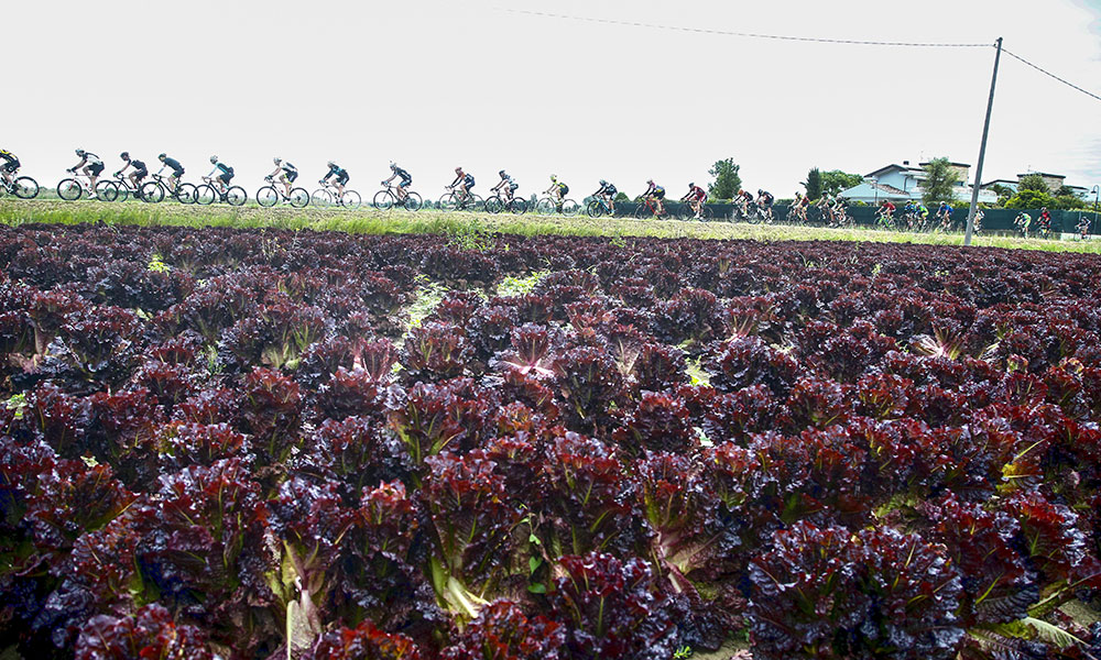 Percorso Ciclistico Romagna