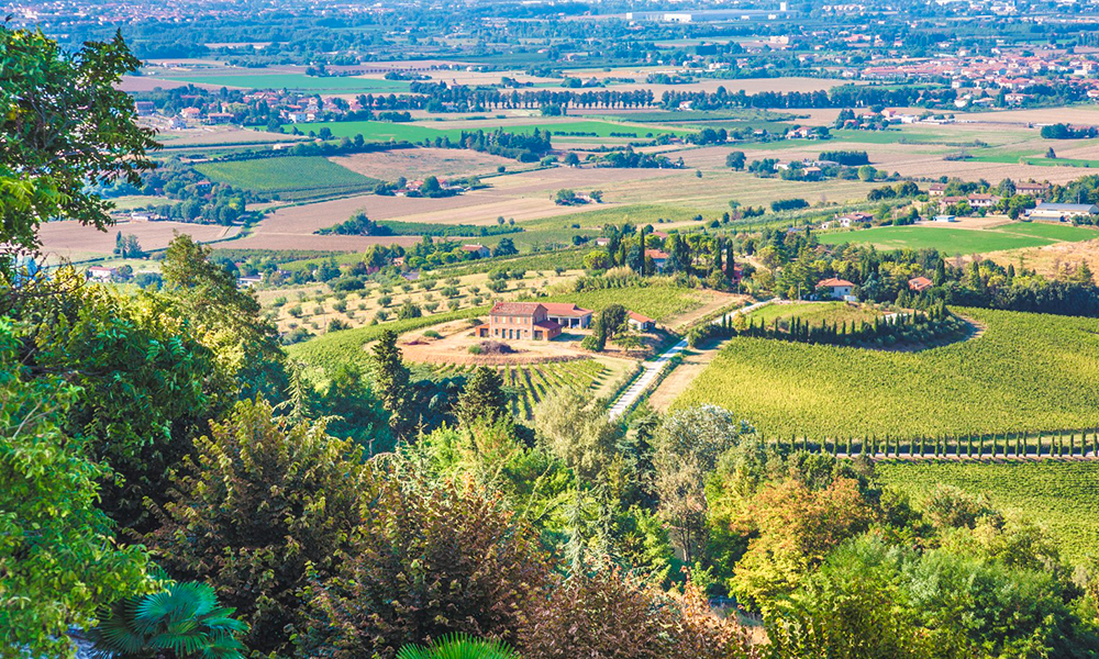 Percorso Ciclistico Romagna