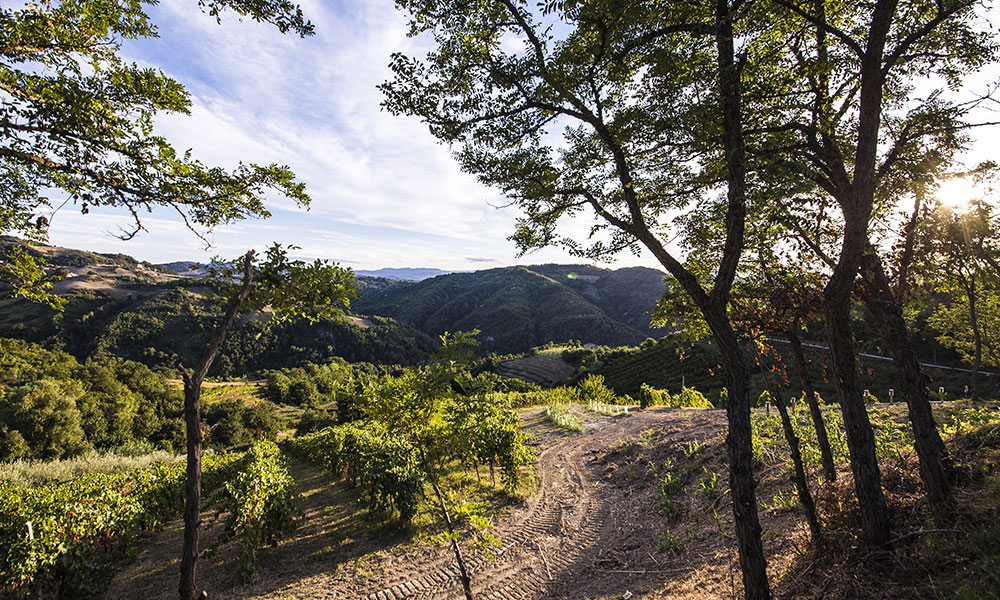 Cycling Route Romagna