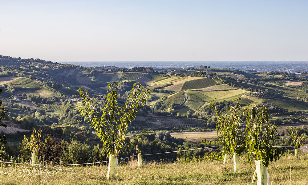 Fahrradroute Romagna