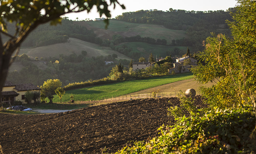 Percorso Ciclistico Romagna