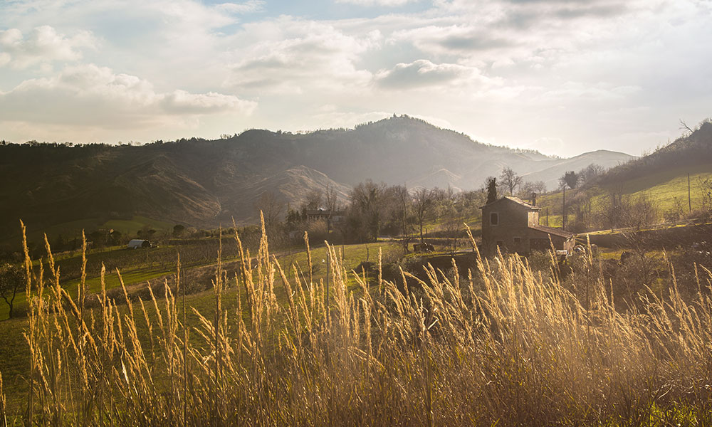 Cycling Route Romagna