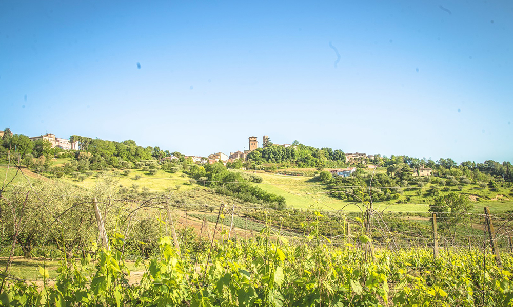 Percorso Ciclistico Romagna