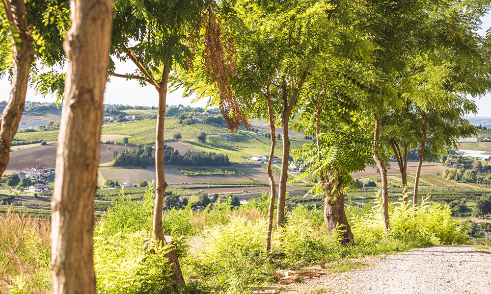 Cycling Route Romagna