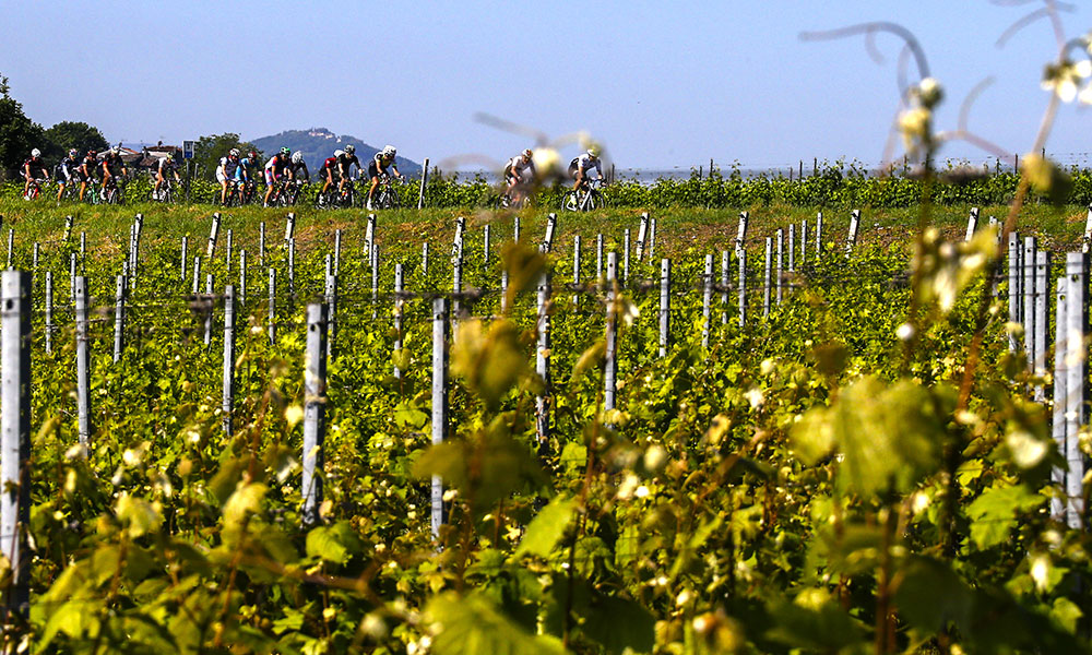 Percorso Ciclistico Romagna