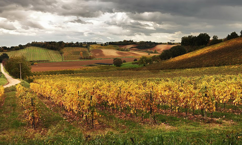 Fahrradroute Romagna