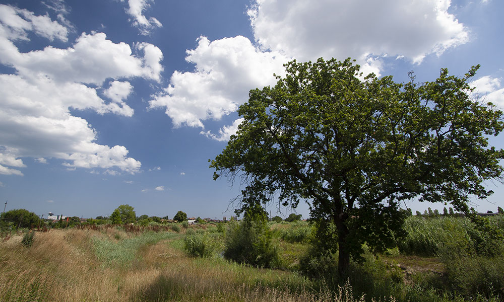 Fahrradroute Romagna