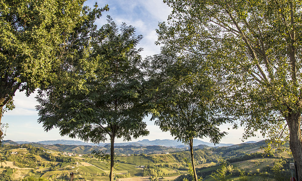 Fahrradroute Romagna