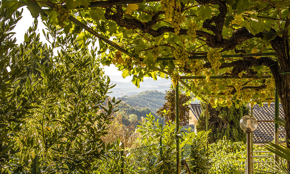 Percorso Ciclistico Romagna